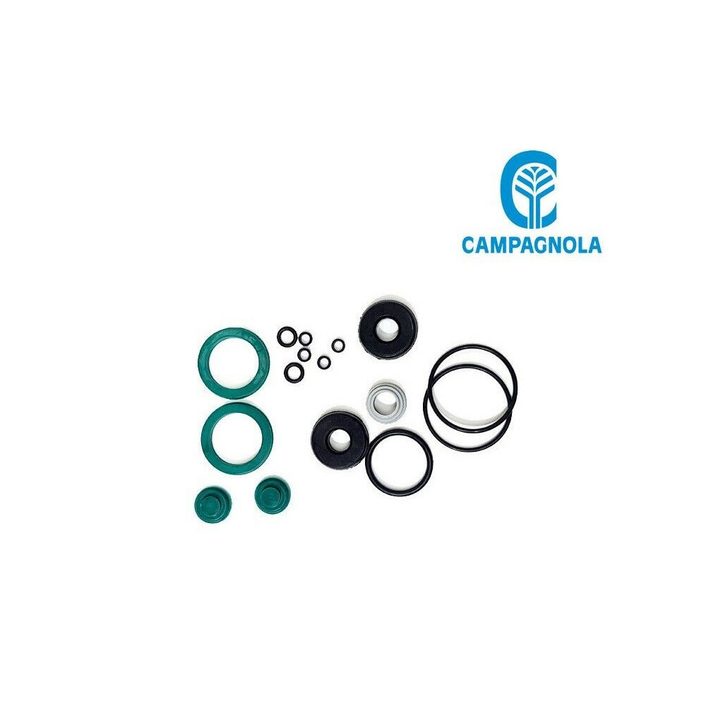 KIT GUARNIZIONI COMPLETO ABBACCHIATORE CAMPAGNOLA TUONO DIABLO 1800 COLIBRI'