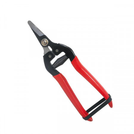 FORBICI COGLIUVA LAMA IN CARBONIO CURVA 16 CM PER VENDEMMIA UTILIA