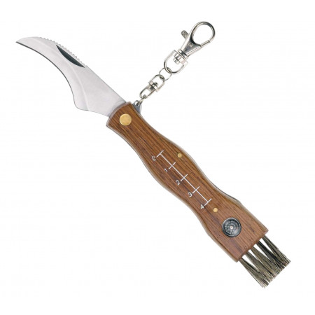 COLTELLO COGLIFUNGHI CON BUSSOLA AUSONIA LAMA IN ACCIAIO INOX CODICE 26300