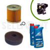 KIT TAGLIANDO COMPLETO MOTORE LOMBARDINI 3LD510 8LD 9LD LDA 510 MOTOZAPPA