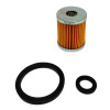 KIT TAGLIANDO COMPLETO MOTORE LOMBARDINI 3LD510 8LD 9LD LDA 510 MOTOZAPPA