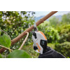 FORBICE A BATTERIA STIHL ASA 20 PER POTATURA CON 2 BATTERIE E CARICATORE